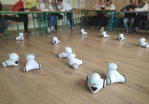 Białe, małe roboty edukacyjne o zaokrąglonym kształcie i świecących diodach.