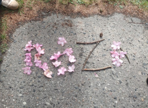 Na zdjęciu widać kompozycję ułożoną na asfaltowej powierzchni z naturalnych materiałów – głównie różowych kwiatów oraz patyków.