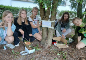 Uczniowie prezentują hotele dla owadów.