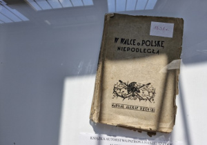 Książka autorstwa patrona naszej szkoły Aleksego Rżewskiego z 1931 roku.