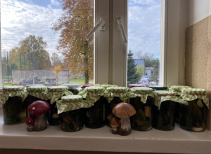 Słoiki z zakiszonymi ogórkami stoją na parapecie okna.