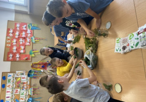 Chłopcy wkładają do słoików ogórki i koper.