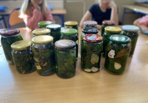 Słoiki z zakiszonymi ogórkami stoją na szkolnej ławce.