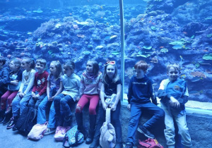 Uczniowie klasy 1 b pozują w tunelu na tle rafy koralowej