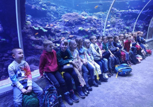 Uczniowie klasy 1 b pozują w tunelu na tle rafy koralowej