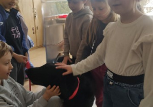 Uczniowie klasy 1b głaskają czarnego psa rasy flat retriever.