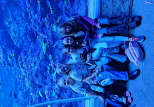 Grupa dziewczyn siedzi na murku a w tle widać akwarium.