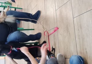 Terapeuta trzyma dwa psy, a dzieci siedzą na poduszkach w kole.