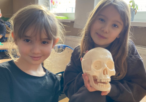 Dwie uczennice prezentują model ludzkiej czaszki.
