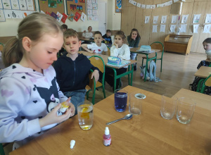 Uczennica podczas wykonywania eksperymentu „Wędrująca woda” dolewa żółty barwnik do wody znajdującej się w szklance.