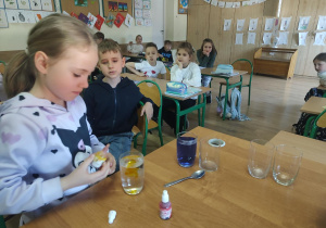Uczennica podczas wykonywania eksperymentu „Wędrująca woda” dolewa żółty barwnik do wody znajdującej się w szklance.
