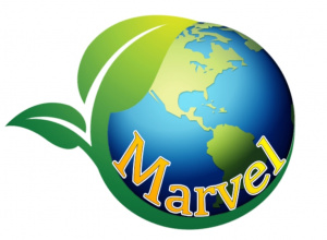 Kolorowa kula ziemska otoczona zieloną gałązką z liśćmi i żółtym napisem Marvel