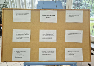 Tablica korkowa na której są zawieszone informację na temat zasad panujących na przerwach ciszy.