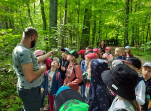 Uczniowie oglądają liście demonstrowane przez przewodnika