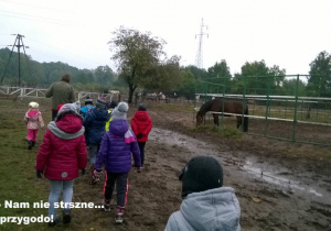 Uczniowie idą na padok na jazdę konną.