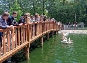 Uczniowie stoją na drewnianym mostku i obserwują ptaki pływające po stawie