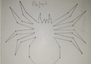 Pająk narysowany ołówkiem z wykorzystaniem linii łamanych