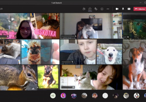 Zrzut z ekranu, na którym są okienka z twarzami uczniów oraz ich zwierzakami.